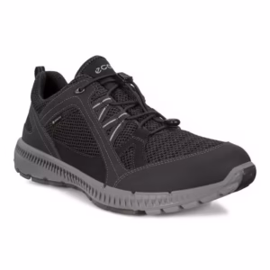 Pantofi Ecco Men’s Terracruise II Gore-Tex Negru – Black