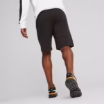 Pantaloni scurti barbati Puma Essentials Block Tape 67334401