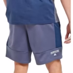Pantaloni scurti barbati The North Face Face Mountain Athletics Fleece Short NF0A823OOEA1