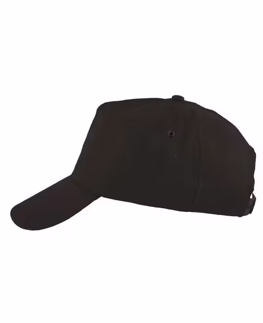 Sapca neagra cu cozoroc, culoarea negru, Ardon Lion