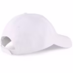 Sapca unisex Puma Essentials Cap III 02366902