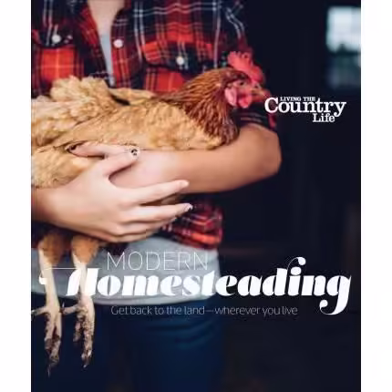 Modern Homesteading