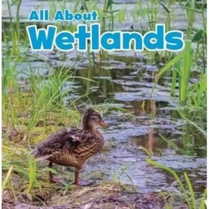 All about Wetlands