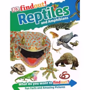 Dk Findout! Reptiles And Amphibians