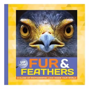 Fur & Feathers