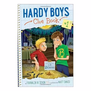 The Video Game Bandit