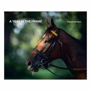 A Year in the Frame