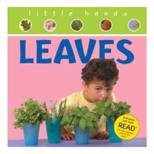 Leaves (Little Hands)