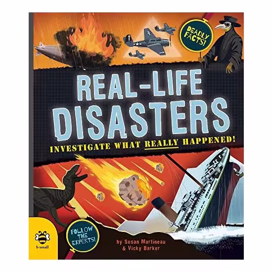 Real-Life Disasters