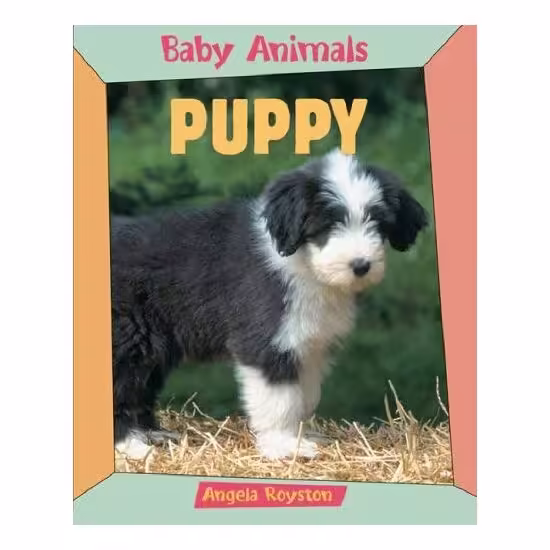 Puppy (Baby Animals)