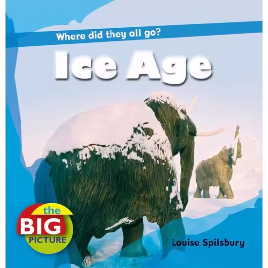 Ice Age (The Big Picture)