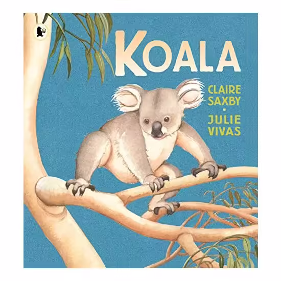Koala