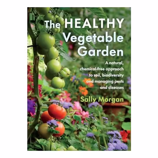 Healthy Vegetable Garden