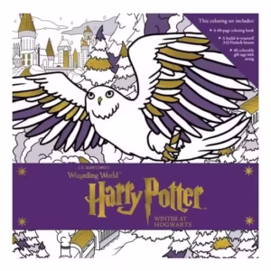 Harry Potter Winter at Hogwarts