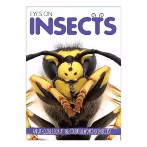 Eyes On Insects