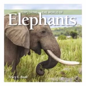 Exploring the World of Elephants
