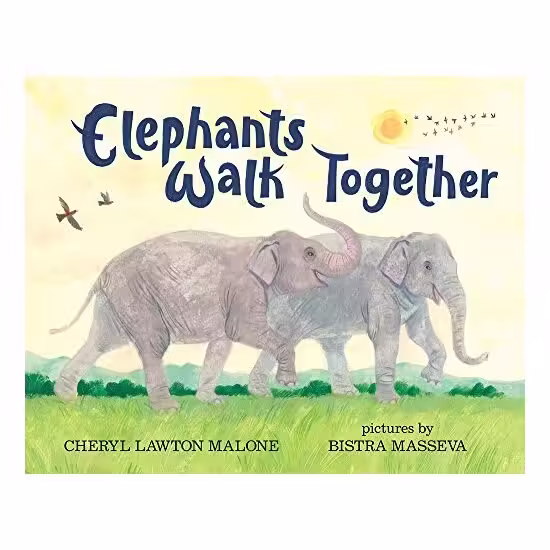 Elephants walk together