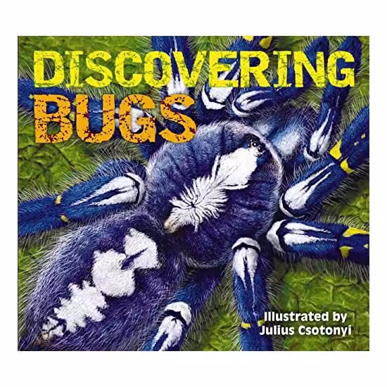 Discovering Bugs