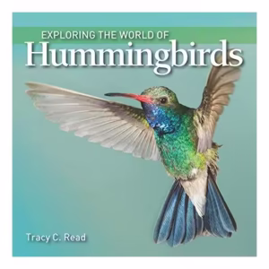 Exploring the World of Hummingbirds