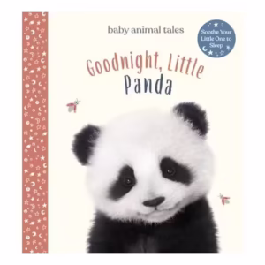 Goodnight, Little Panda