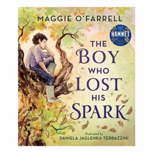 Boy Who Lost His Spark