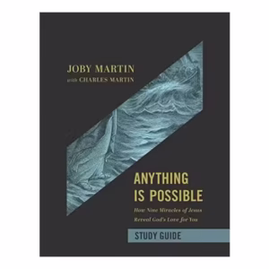 Anything Is Possible Study Guide