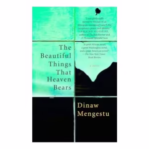 The Beautiful Things That Heaven Bears