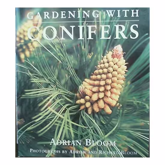 Gardening with Conifers