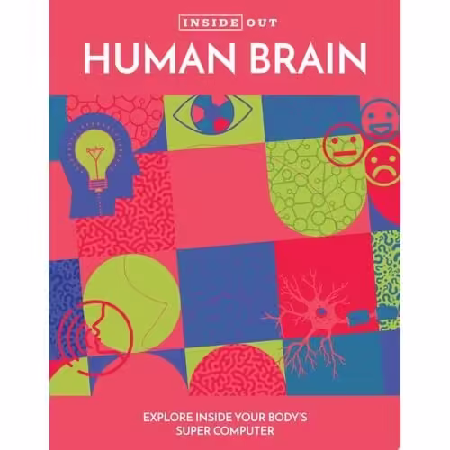 Inside Out Human Brain