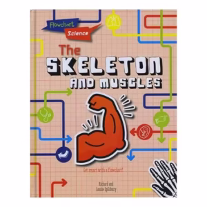 Flowchart Science: The Skeleton & Muscles
