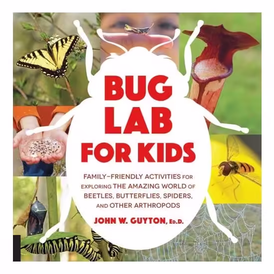 Bug Lab For Kids
