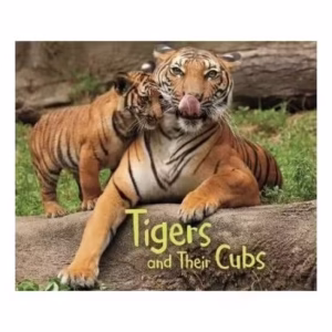 Animal Offspring: Tigers & Their Cubs