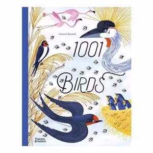 1001 Birds