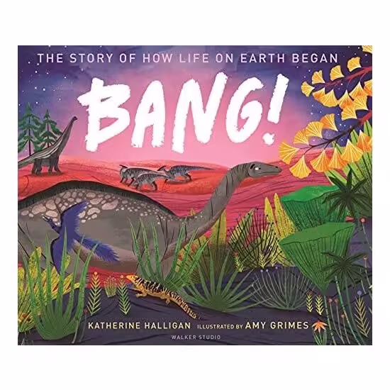 Bang: Story Of How Life Began