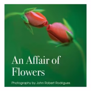 An Affair Of Flowers