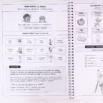 Pachet Interactiv 6 produse Izzie: clasa a IV-a
