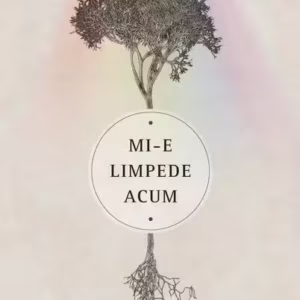 Mi-e limpede acum - Paperback brosat - Dr. Wayne W. Dyer - Curtea Veche