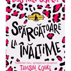 Spărgătoare la înălțime (Vol. 1) - Hardcover - Tamsin Cooke - Corint Junior