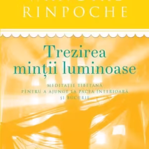 Trezirea minții luminoase - Paperback brosat - Tenzin Wangyal Rinpoche - Curtea Veche