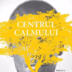 Centrul calmului - Paperback brosat - Steve Taylor - Curtea Veche