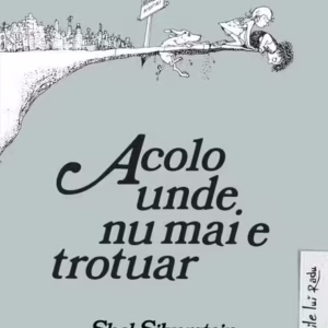 Acolo unde nu mai e trotuar - Hardcover - Shel Silverstein - Arthur