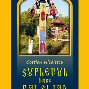 Sufletul între rai şi iad - Paperback brosat - Costion Nicolescu - Meteor Press