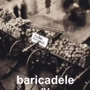 Baricadele IV - Paperback brosat - Andrei Crăciun - GRI