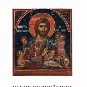 Cum să ne creștem copiii - Paperback brosat - Danion Vasile - Areopag