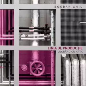 Linia de producție. Lucrând cu arta - Paperback brosat - Bogdan Ghiu - Tact