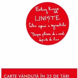 Liniște într-o epocă a zgomotului - Paperback brosat - Erling Kagge - Litera