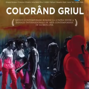 Colorând griul. Colouring the Grey - Paperback brosat - Cosmin Năsui - Vellant