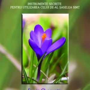 Ai încredere în propriile instincte - Paperback brosat - Sonia Choquette - Prestige