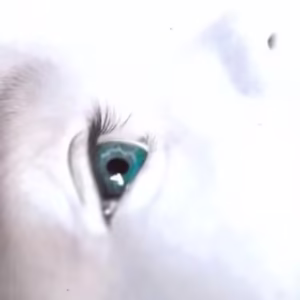 Dincolo de gândirea pozitivă - Paperback brosat - Robert Anthony - Vidia