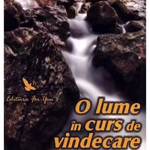 O lume în curs de vindecare. O experienţă personală de renaştere a sufletului - Paperback - Ron Baker - For You